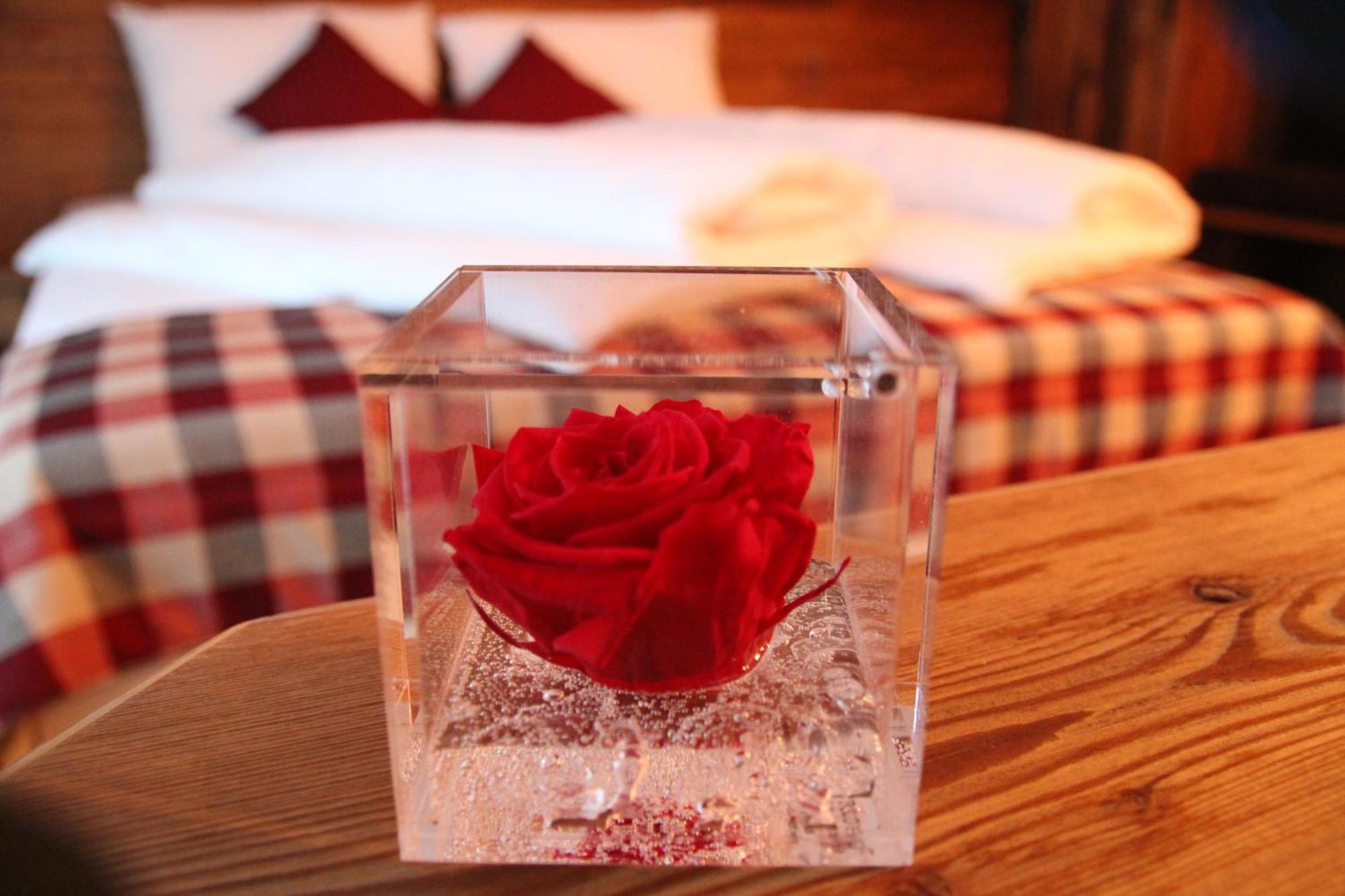 Green Rose Livigno Bagian luar foto